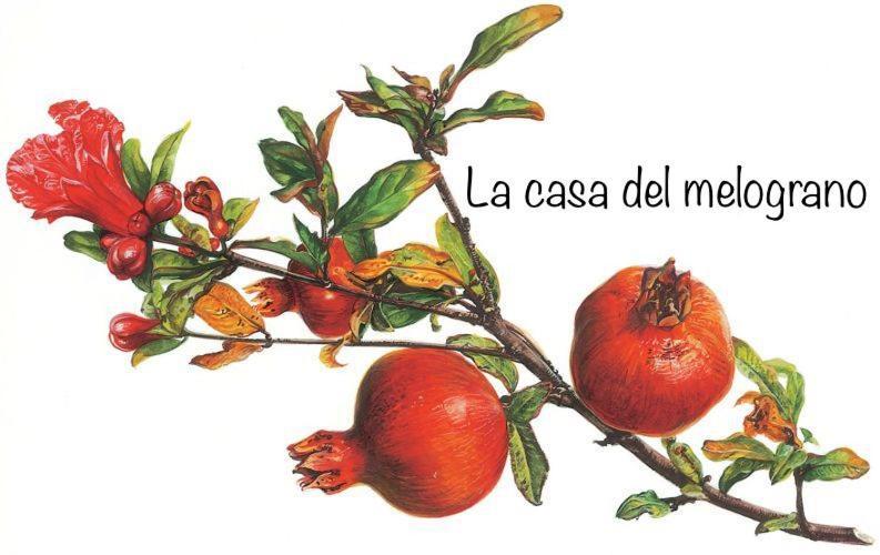 La Casa Del Melograno Alba (Piedmont) Exterior photo